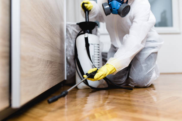 Best Pest Removal Services  in Chamblee, GA