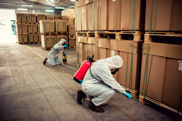 Flea Control Services in Chamblee, GA