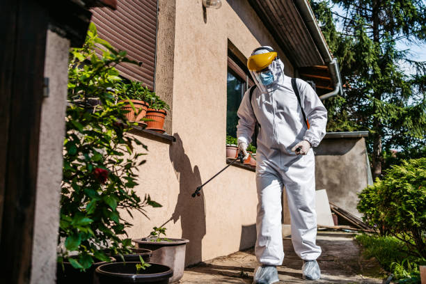 Best Residential Pest Control  in Chamblee, GA