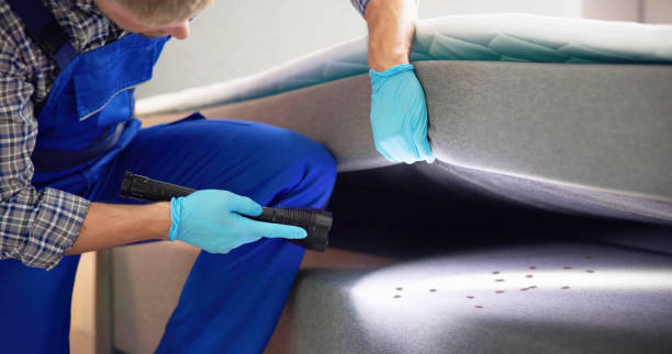 Best Affordable Pest Control Services  in Chamblee, GA