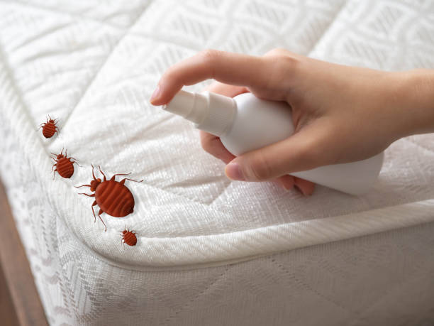 Professional Pest Control in Chamblee, GA