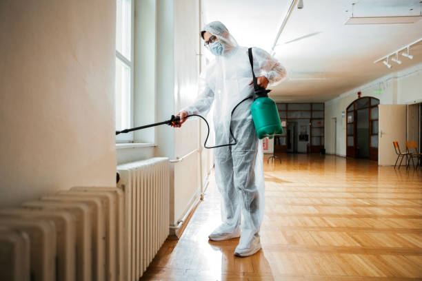 Best Local Pest Control Services  in Chamblee, GA