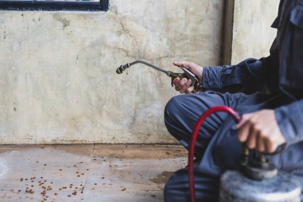 Best Emergency Pest Control  in Chamblee, GA